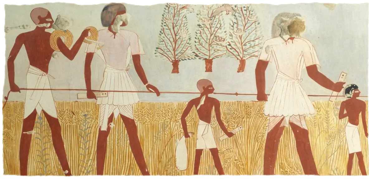 Surveyors stretch a measuring cord across a field of ripe wheat while two boys carry writing boards, painted on a tomb wall in Thebes.